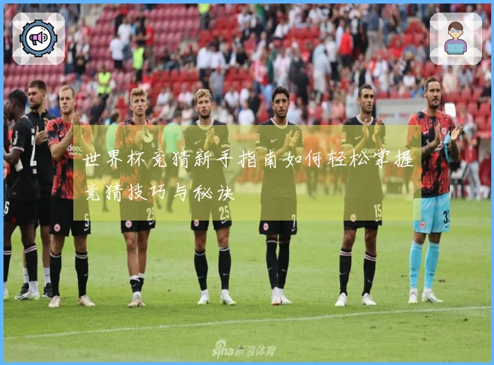 世界杯竞猜新手指南如何轻松掌握竞猜技巧与秘诀