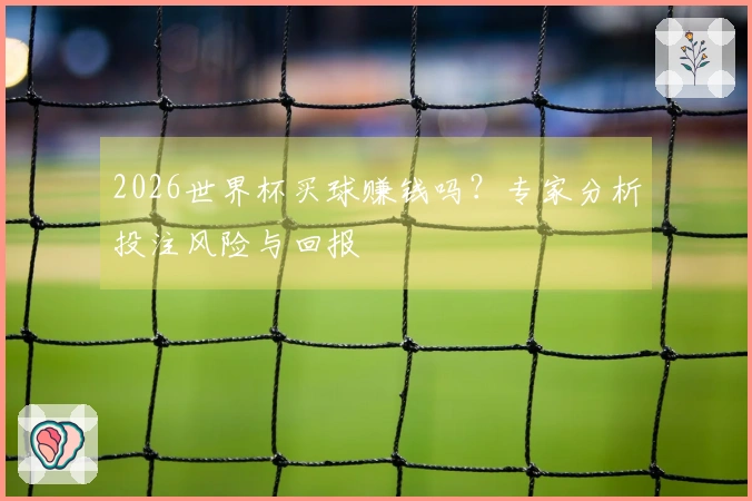 2026世界杯买球赚钱吗？专家分析投注风险与回报