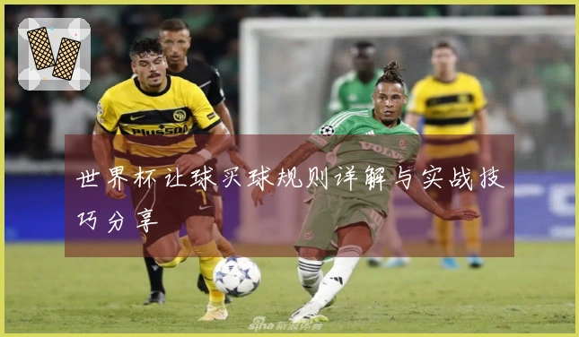 世界杯让球买球规则详解与实战技巧分享