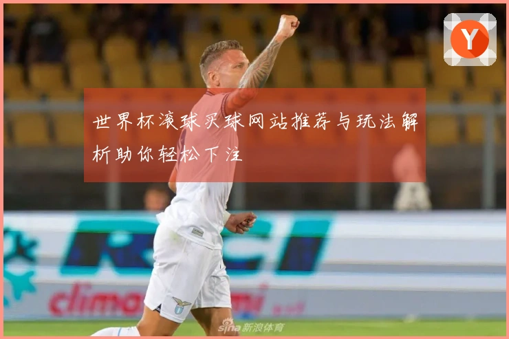 世界杯滚球买球网站推荐与玩法解析助你轻松下注