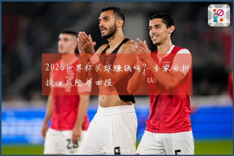 2026世界杯买球赚钱吗？专家分析投注风险与回报